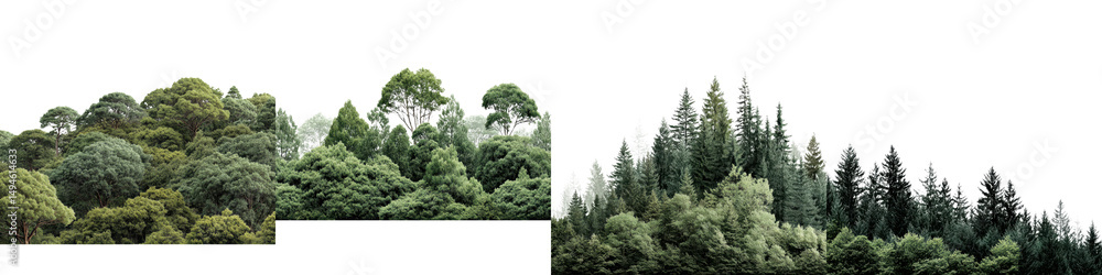Poster expansive panoramic view of a dense lush forested landscape with a diverse mix of evergreen trees an