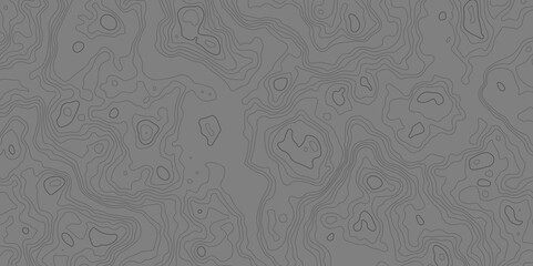 Vector grid map.Topographic contour map on white background.	
