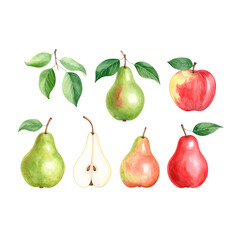 Fresh, ripe, and sweet pears, a healthy fruit food, isolated in natural green and yellow hues
