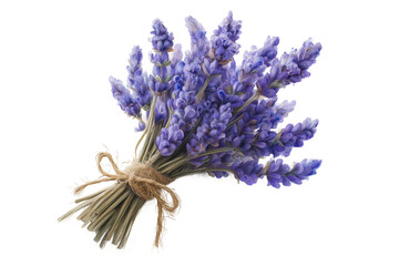 A beautiful bouquet of fresh lavender tied with twine, showcasing vibrant purple flowers Isolated on transparent Background.