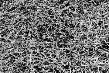 GRADUATION TOWER - Twigs woven into a wall