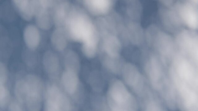 shadow overlay wall texture sunlight leaf shade abstract 3d render. shadows light nature plant leaves branch tree foliage design backdrop. wallpaper mockup background white effect minimal natural.