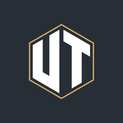 Modern Luxury Letter Monogram Logo with Polygon Frame Design
