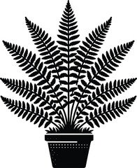Royal Fern Tropical Plant landscape element vector illustration isolated on a white background