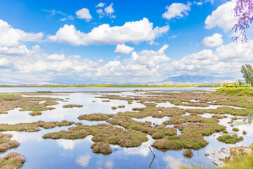 Izmir Wildlife Park, called inceralti Kent ormanli, is a large and beautiful park area with...