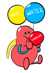 kidney blow balloon cartoon illustration