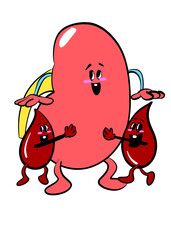 kidney and red blood cartoon illustration 