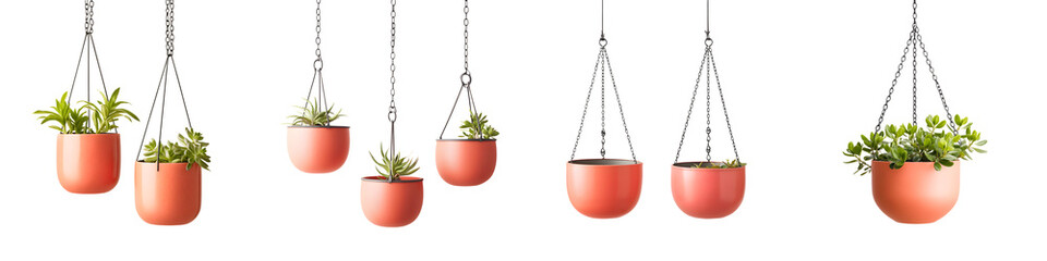 Assortment of potted succulents and other greenery hanging from ceiling chains in a minimalist contemporary home setting