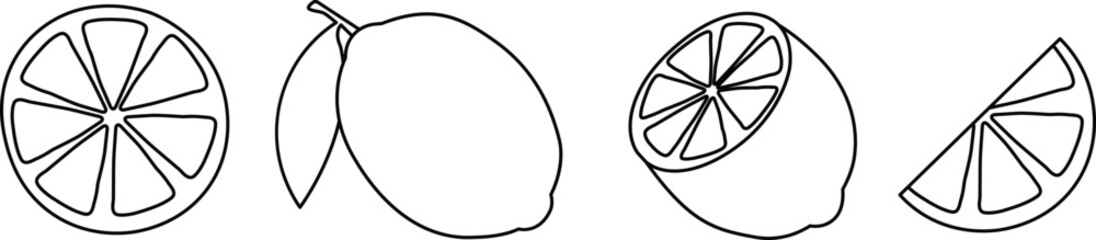 Vibrant Citrus Fruit Collection Vector Illustration