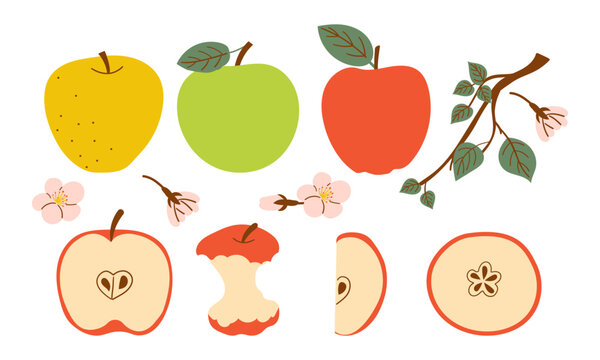 Whole apple and bitten red apple fruit icon vector. Red apples fruit icon set isolated on a white background . Hand drawn set of branch flower and various type of apple fruit .