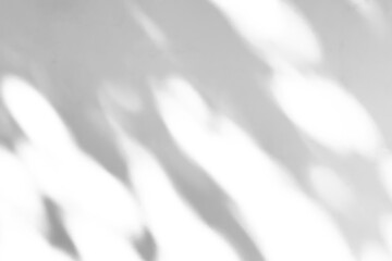 Fototapeta na wymiar Abstract natural tree branch leaves shadow on white wall background