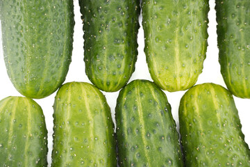 Close-up view showcases fresh green cucumbers against a crisp white background.