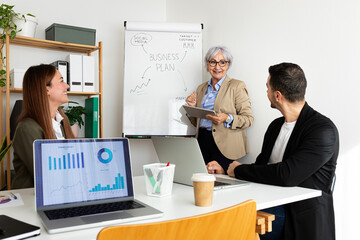 Senior business woman giving presentation to sales and marketing team at the office.