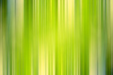 Fotobehang green gradient background / abstract blurry fresh green background © kichigin19