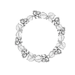Hazelnut wreath with branch, leaves and fruits. Vector black and white illustration hand drawn with ink. Graphic element for label and logo design