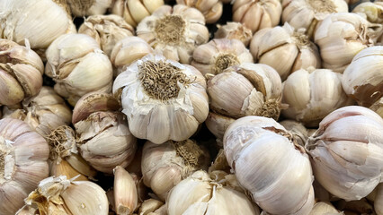 A lot of organic garlics for sale. A close-up view of a pile of fresh garlic bulbs. Kitchen ingredients on sale in an Asian supermarket. Organic seasoning vegetables