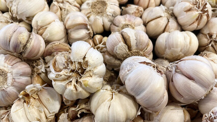 A lot of organic garlics for sale. A close-up view of a pile of fresh garlic bulbs. Kitchen ingredients on sale in an Asian supermarket. Organic seasoning vegetables