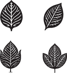 Black and White Leaf Illustrations