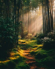 Obraz premium bamboo forest with sunbeams slicing through dense green stalks creating serene light patterns