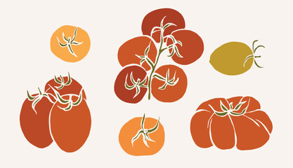 Flat vector tomatoes on vine collection © Maria