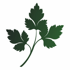 Coriander silhouette icon on white background