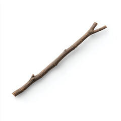 Obraz premium a branch of a tree with a small branch sticking out of it