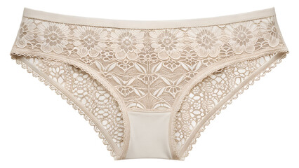 Woman Lace Panties. PNG.