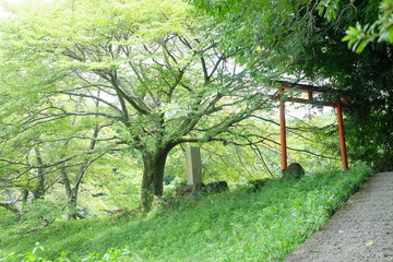 The approach to Okami Shrine, the shrine of Benzaiten, one of the Eight Great Dragon Kings, in Sakurai City, Nara