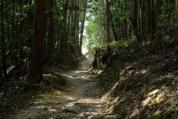 The Yamanobe trail from Omiwa Shrine to Hibara Shrine