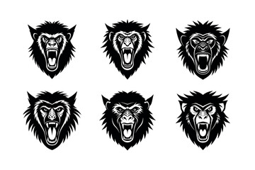 aggressive baboon face on white background 