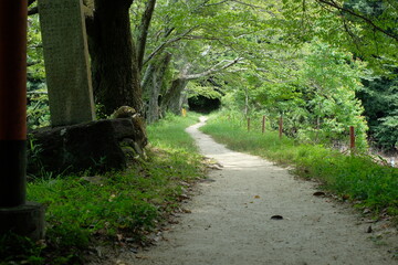 The approach to Okami Shrine, the shrine of Benzaiten, one of the Eight Great Dragon Kings, in Sakurai City, Nara