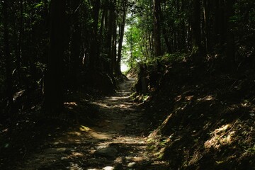 The Yamanobe trail from Omiwa Shrine to Hibara Shrine