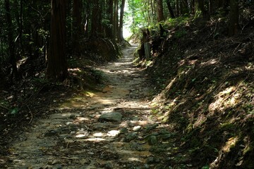 The Yamanobe trail from Omiwa Shrine to Hibara Shrine
