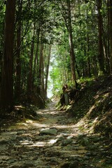 The Yamanobe trail from Omiwa Shrine to Hibara Shrine