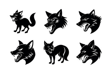 angry fox snarling on white background