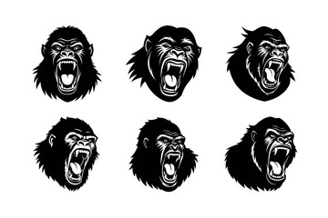 angry gorilla screaming face on white background © Arbina