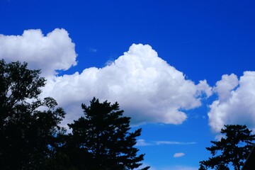 blue sky and clouds in Japanese summer