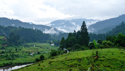 Fototapeta premium Serene mountain valley shrouded in mist showcasing natural beauty landscape