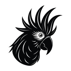 Obraz premium Black and White Cockatoo Head Illustration Elegant Bird Portrait