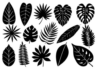 set of leaves silhouettes vector