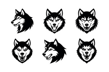 fierce husky expression on side 