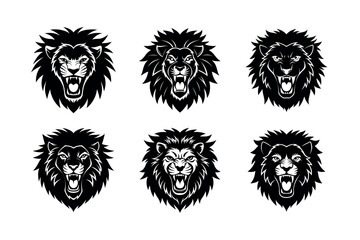 furious tiger face on white background variation set