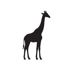Tall Giraffe Side View Silhouette