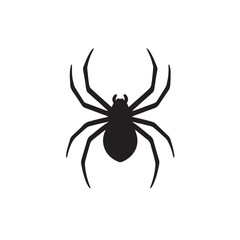 Agile Spider Clear Feature Vector