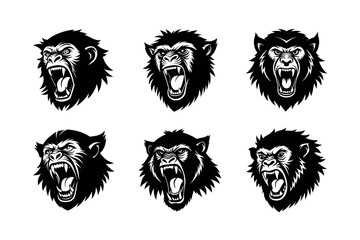 raging baboon expression