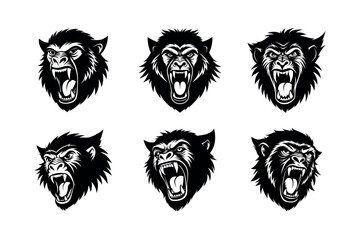 snarling mandrill expression  