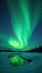 Emerald green aurora borealis shimmers across a star-studded Arctic night sky , Impressive, Arctic, Magical