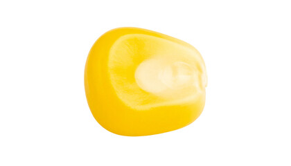 Healthy yellow corn on white background
