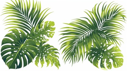 Fototapeta premium Tropical green leaves on a white background, showcasing vibrant and lush foliage.
