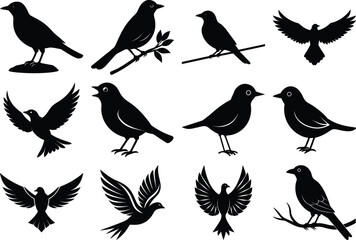 Bird Silhouettes Collection – Flying and Perched Birds Vector Set on White Background